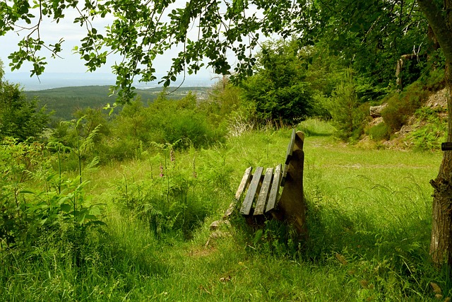 依赖单一球 依赖单一球