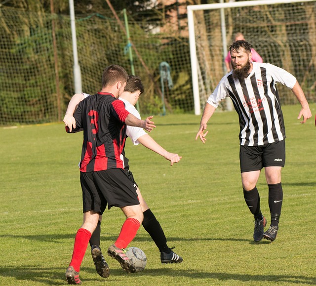 动的迅猛发 动的迅猛发